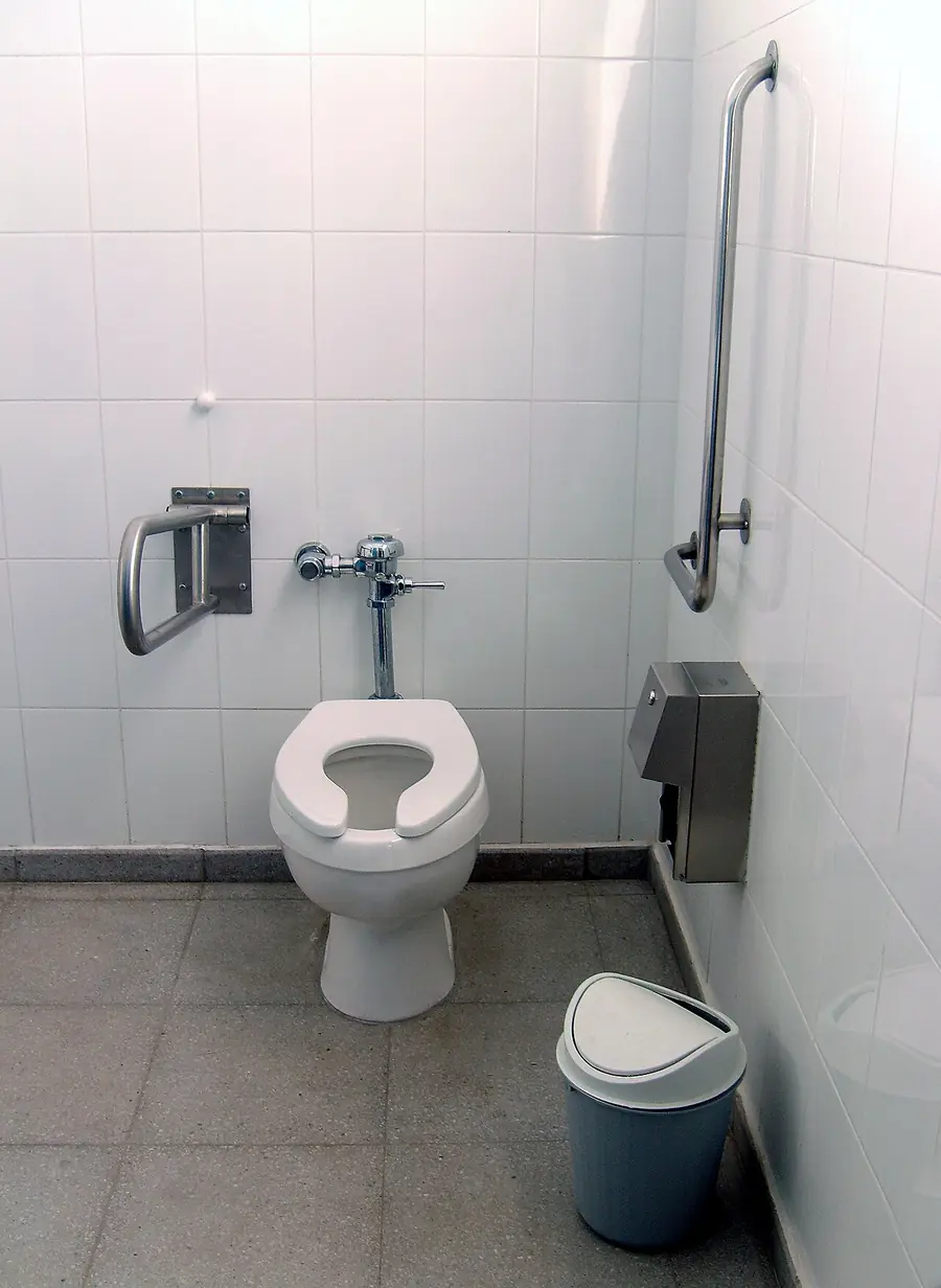 Accessible bathroom with grab bars beside the toilet