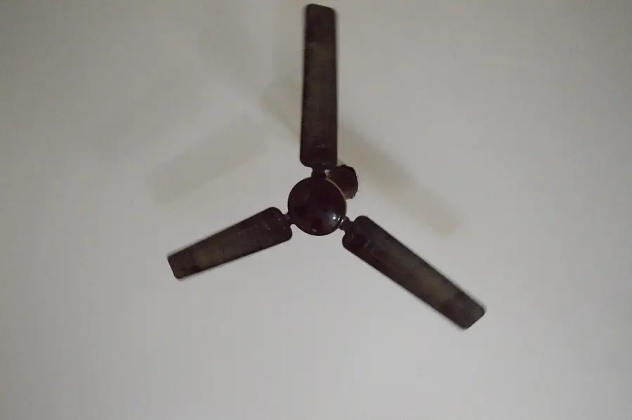 Three-blade dark brown ceiling fan seen from below against a white ceiling
