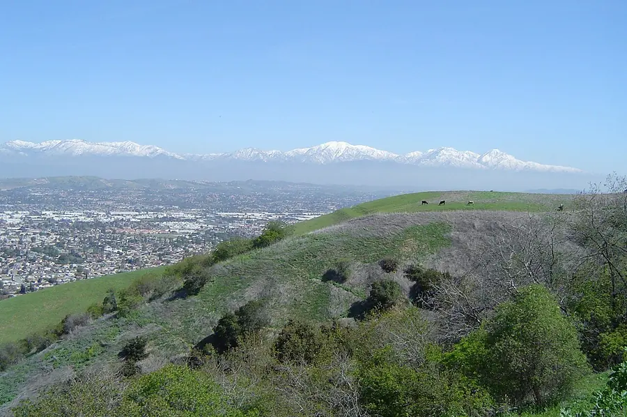 San Gabriel Mountains seen across the valley from the Puente Hills