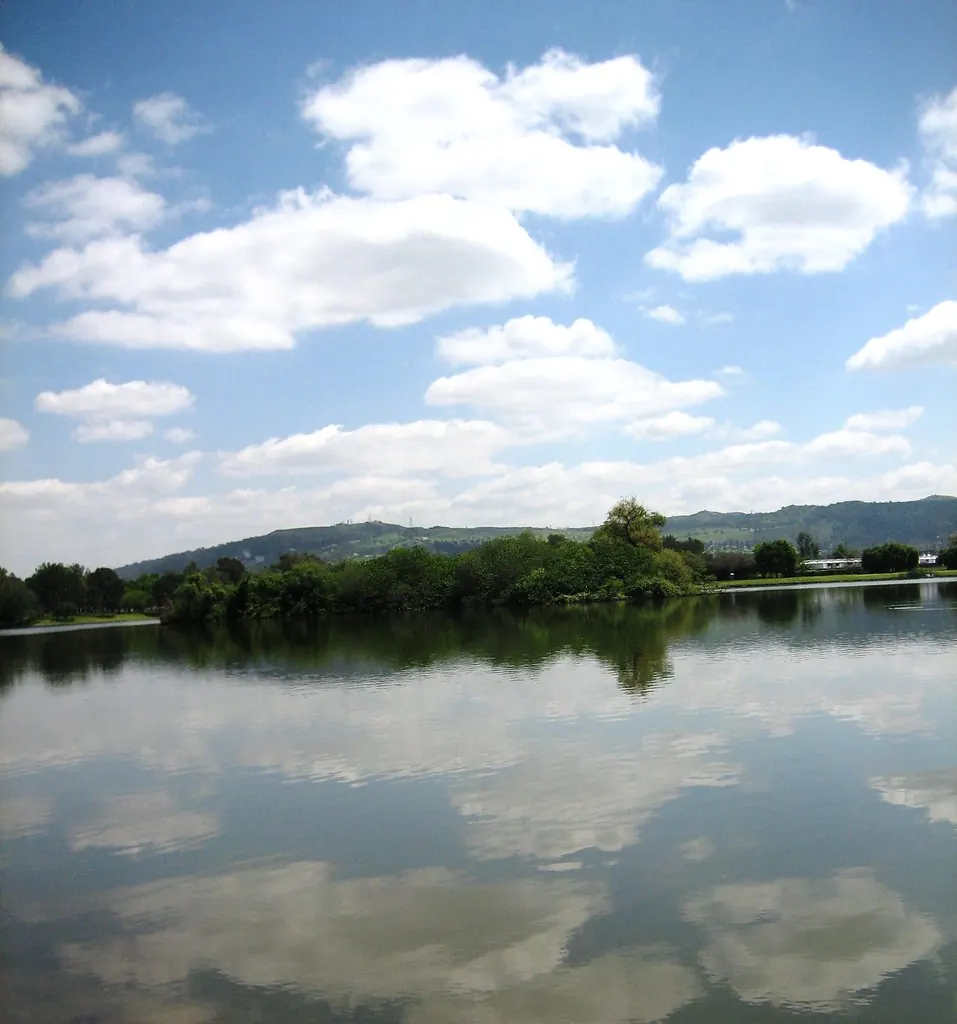 Legg Lake at Whittier Narrows in South El Monte under a summer sky
