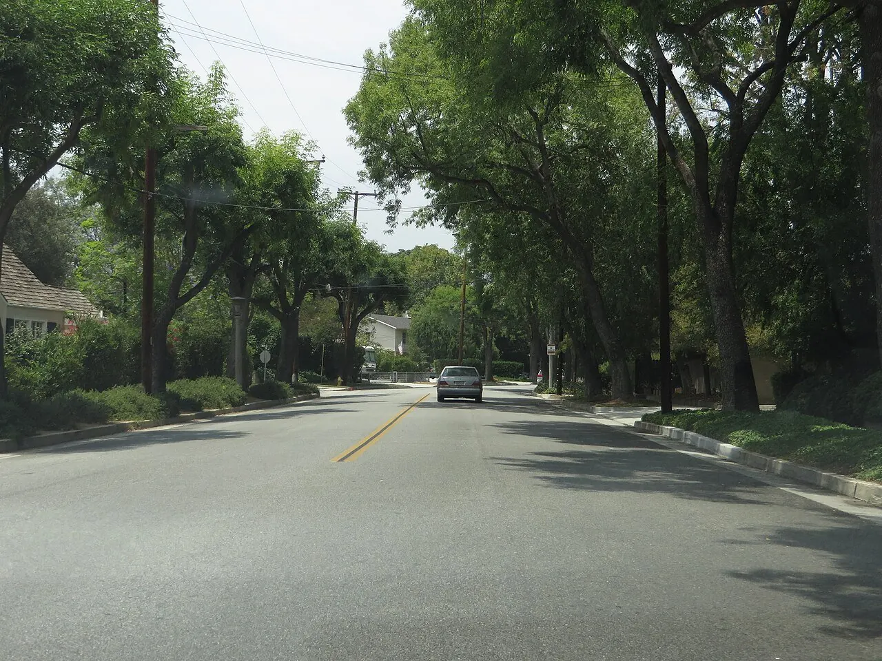 Tree-lined street in South Pasadena