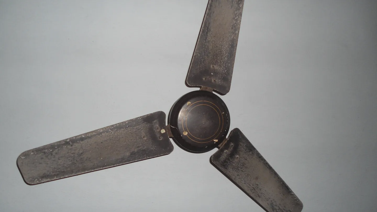 Three-blade ceiling fan against a white ceiling