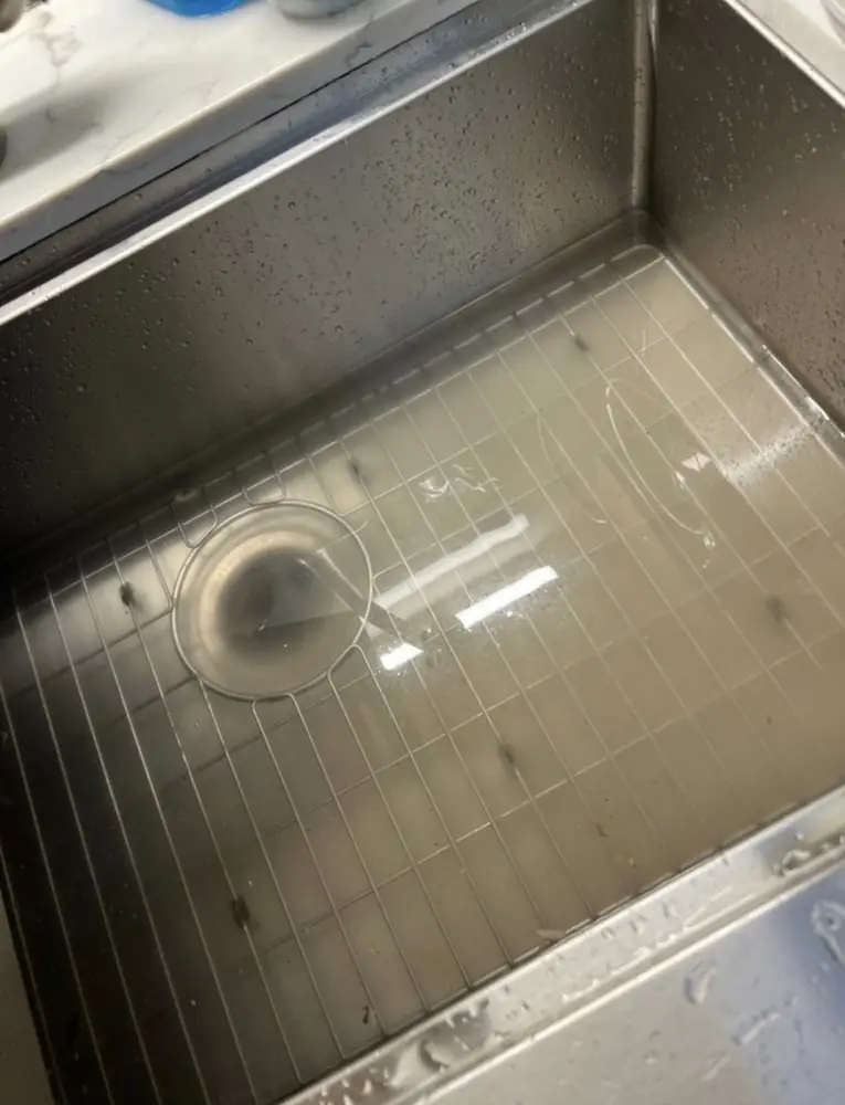 Clean stainless steel kitchen sink basin draining freely after a clog was cleared